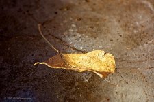 12-20-2020-cr__D7K4774-ON1.jpg