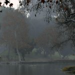 Park2.jpg