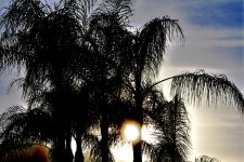_ROY2561_00001_01.jpg