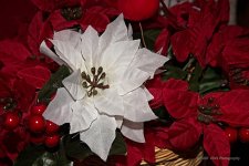 12-23-2020-cr__7503700-ON1.jpg
