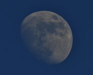 _ROY2903_00001.jpg