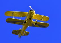 _ROY2955_00001.jpg