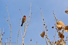 12-27-2020-cr__D7K4835-ON1.jpg