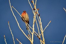12-27-2020-cr__D7K4842-ON1.jpg