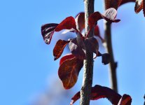 _ROY3490_00001.jpg