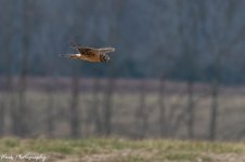 20201230-RD5_5369-Edit-2.jpg