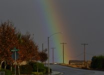 _ROY3507_00001.jpg