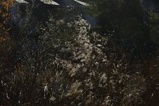 _ROY3829_00001.jpg