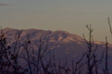 _ROY3894_00001.jpg