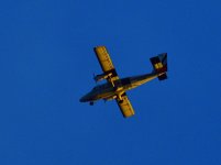 _ROY3910_00001.jpg
