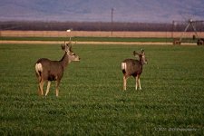 12-28-2020-cr__D7K4852-ON1.jpg