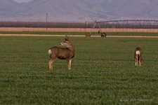 12-28-2020-cr__D7K4854-ON1.jpg
