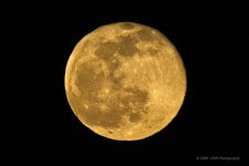 12-30-2020-cr__D7K4882-ON1.jpg