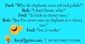 615a8da78ccc591105bffc93ba792e72--clean-jokes-funny-clean.jpg