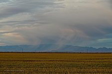 12-31-2020-cr__7503719-ON1.jpg