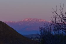 _ROY4226_00001_01.jpg