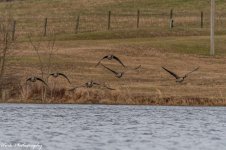 20201227-RD5_5271-Edit-Edit.jpg