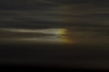 _ROY4261_00001.jpg