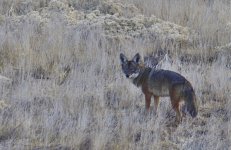 _ROY4566_00001.jpg