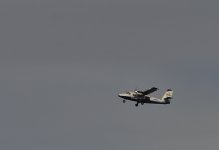_ROY5031_00001.jpg