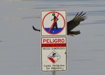 _ROY4962_00001.jpg