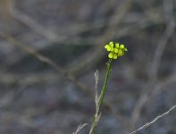 _ROY5091_00001.jpg