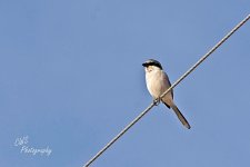 01-14-21-cr__D7K5094-ON1-1.jpg