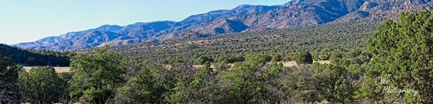 01-17-21-cr__D7K5125 Pano-ON1-1.jpg