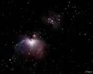 M42 16x20.jpg