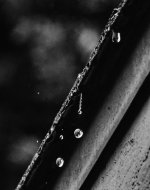 2021-01-22 12.19.06-2-crop-B&W2.jpg