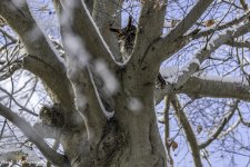 20210128untitled-RD5_6121-Edit-3.jpg