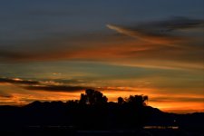 _ROY8004_00001_01.jpg