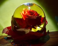 _ROY8705_00001.jpg