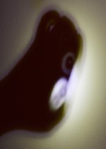 _ROY8729_00001.jpg
