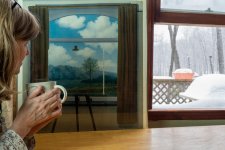 Not a Window 1-.jpg