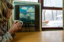 Not a Window 2-.jpg