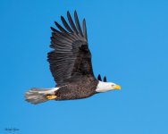 Baldy-752.jpg
