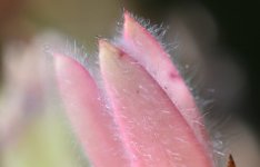 2021-02-07 14.21.58-FS-s.jpg