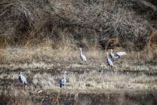 2021-02-12 13.56.44-1-FS-nik-s.jpg