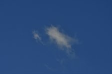 _ROY9425_00001.jpg