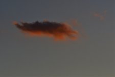 _ROY9435_00001.jpg