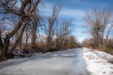 _DSC3306 low res.jpg