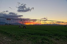 02-17-21-cr__7503989_HDR-ON1.jpg
