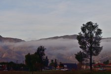 _ROY0273_00001_01.jpg