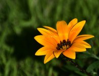 _ROY0767_00001.jpg