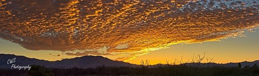02-20-21-cr__D7K5323 Pano-ON1.jpg
