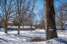 _DSC3315 low res.jpg