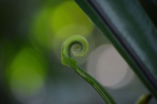 DSC_1157.JPG