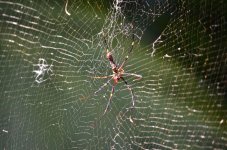 DSC_1150.JPG
