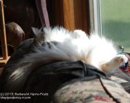173 Creature-130622-01_1.jpg